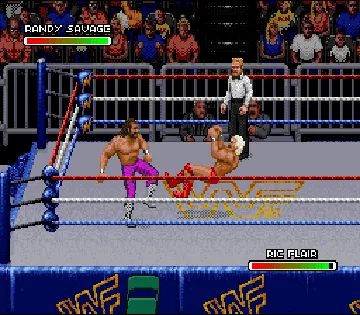 WWF Royal Rumble (USA) screen shot game playing